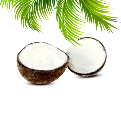 Coconut-gelato